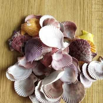 50Pcs spalva holese myli Šukutės Shell Gamtos Seashell nuo Jūros Paplūdimio Didelį Shell Su Skylėmis fo papuošalai r 