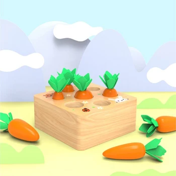Derliaus Morkų Kūdikių Mediniai Montessori Žaislai Vaikams Dydis Pažinimo Formos Atitikimo Žaidimą Mokymosi Švietimo Žaislas 3D dėlionės Vaikas