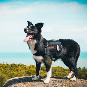 OneTigris Paslaugų Šunų Pagalbą Diržas, Suderinamas Vest Taktinis karo MOLLE Mokymo Balnai Paslaugos Šuo
